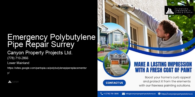 Polybutylene Pipe Inspection Services Emergency Polybutylene Pipe Repair Surrey