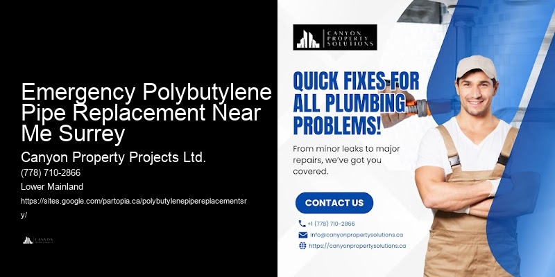 Polybutylene Pipe Servicing Emergency Polybutylene Pipe Replacement Near Me Surrey