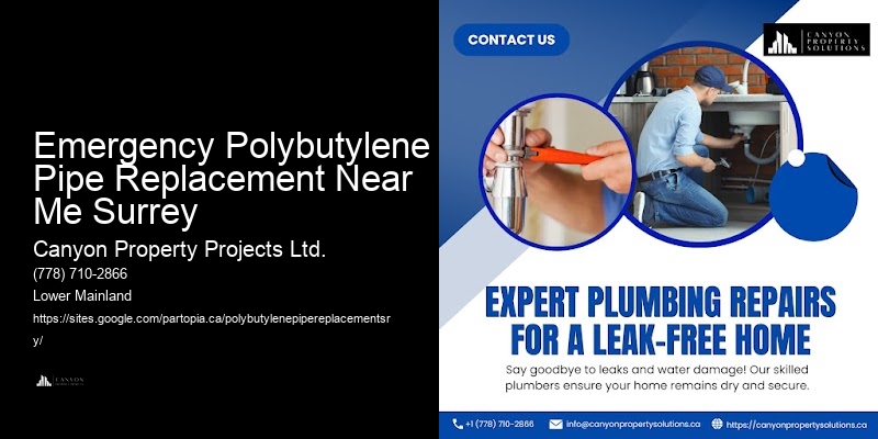 Affordable Options for Polybutylene Replacement Emergency Polybutylene Pipe Replacement Near Me Surrey