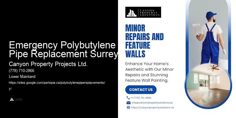 Professional Polybutylene Pipe Services Near Me Emergency Polybutylene Pipe Replacement Surrey
