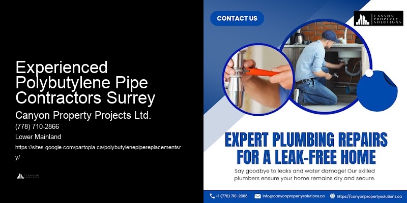 Polybutylene Pipe Management Services Experienced Polybutylene Pipe Contractors Surrey