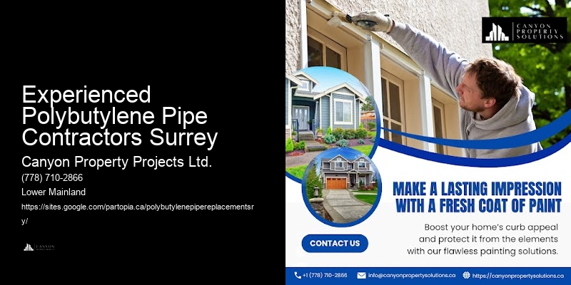 Experienced Polybutylene Pipe Contractors Surrey Plumbing Repair Specialists
