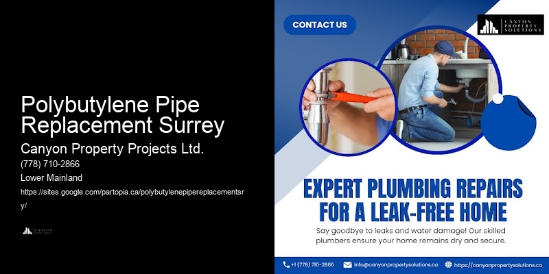 Polybutylene Pipe Issues Solutions Polybutylene Pipe Replacement Surrey