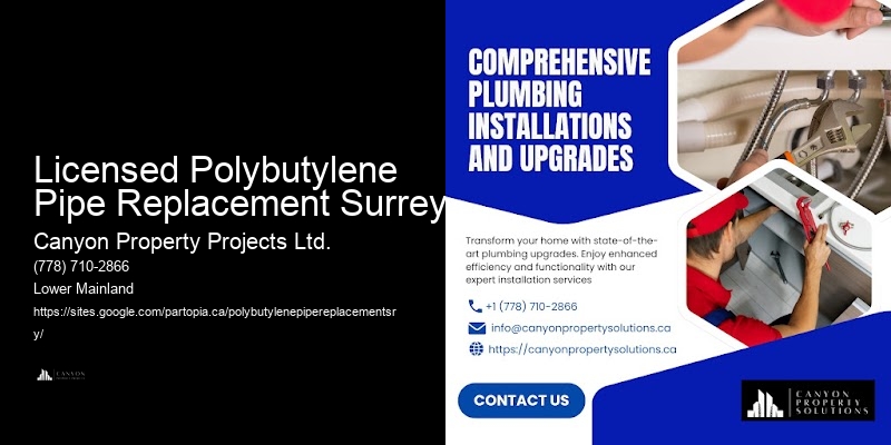 Polybutylene Pipe Servicing Licensed Polybutylene Pipe Replacement Surrey