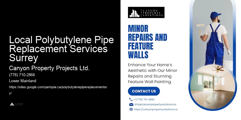 Polybutylene Plumbing Service Packages Local Polybutylene Pipe Replacement Services Surrey