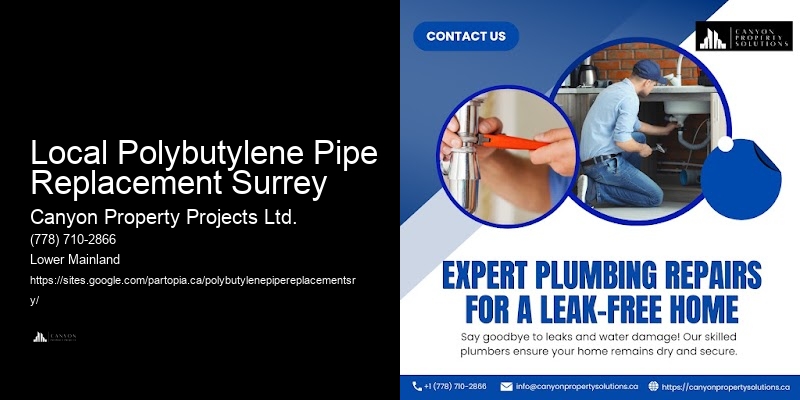 Certified Contractors for Polybutylene Pipe Replacement Near Me
