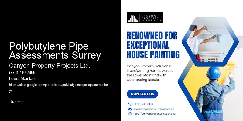 Polybutylene Plumbing Recommendations Polybutylene Pipe Assessments Surrey