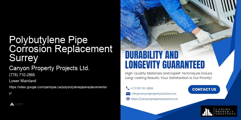 Licensed Polybutylene Plumbing Services Polybutylene Pipe Corrosion Replacement Surrey