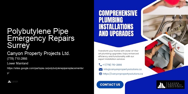 Custom Polybutylene Pipe Replacement Polybutylene Pipe Emergency Repairs Surrey