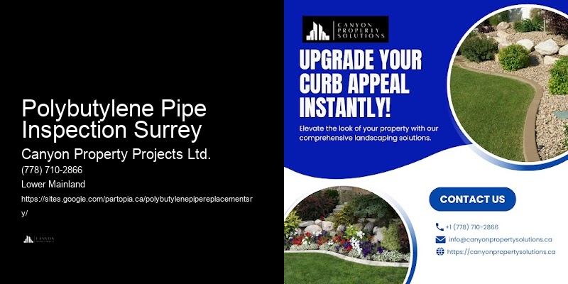 Best Polybutylene Replacement Reviews Polybutylene Pipe Inspection Surrey