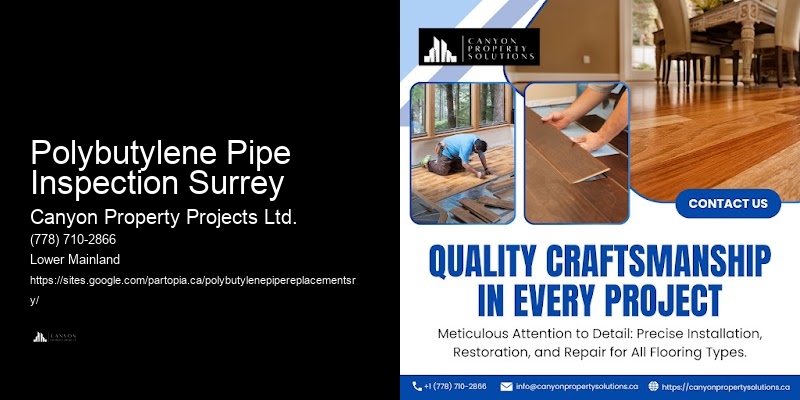 Polybutylene Pipe Inspection Surrey Polybutylene Piping Solutions