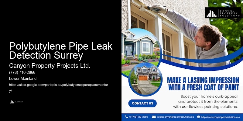 Polybutylene Pipe Project Timelines Polybutylene Pipe Leak Detection Surrey