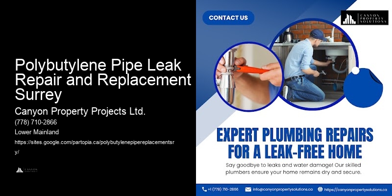 Polybutylene Pipe Replacement Estimates Polybutylene Pipe Leak Repair and Replacement Surrey