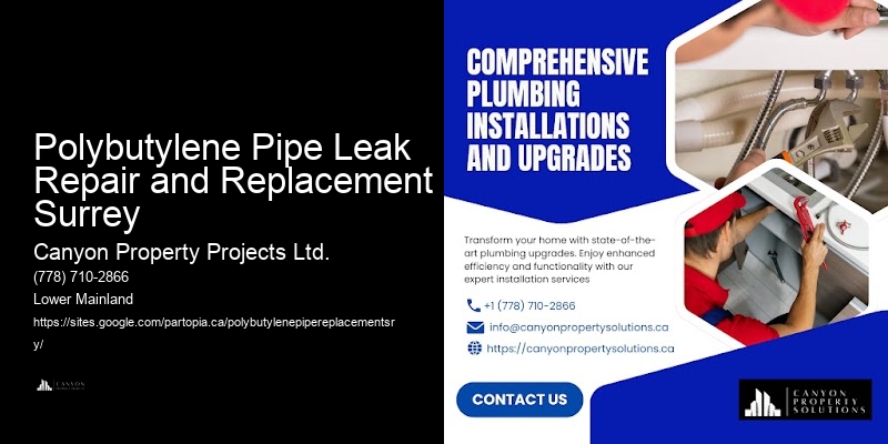 Polybutylene Pipe Emergency Repairs Polybutylene Pipe Leak Repair and Replacement Surrey
