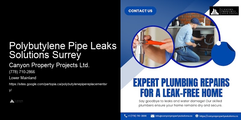 Quick Polybutylene Pipe Replacement Near Me