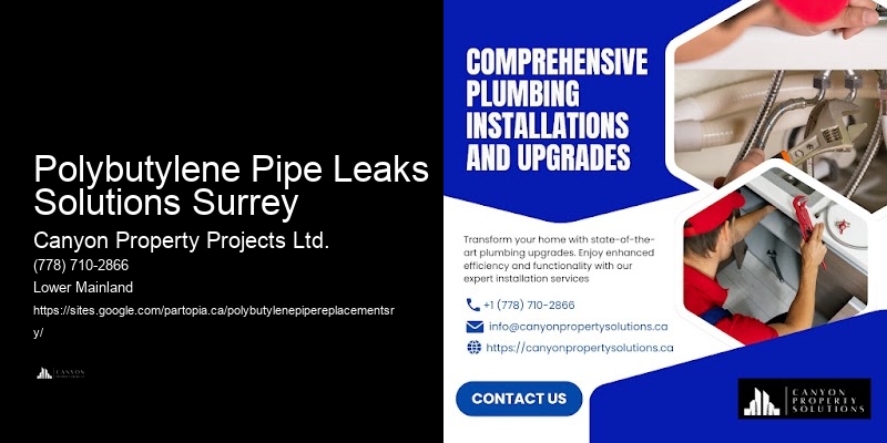 Polybutylene Pipe Replacement Services Near Me Polybutylene Pipe Leaks Solutions Surrey