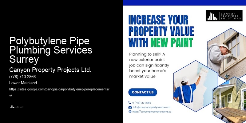 Polybutylene Pipe Safety Inspections Polybutylene Pipe Plumbing Services Surrey