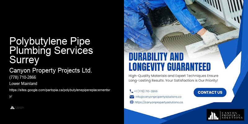 Polybutylene Pipe Issues Fixed Polybutylene Pipe Plumbing Services Surrey