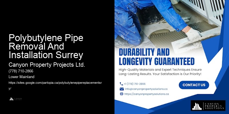 Local Polybutylene Pipe Repair Polybutylene Pipe Removal And Installation Surrey
