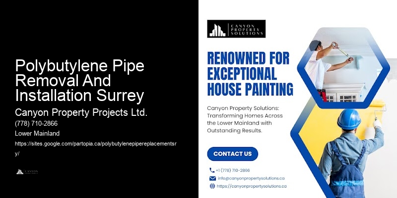 Polybutylene Pipe Repair Options Polybutylene Pipe Removal And Installation Surrey