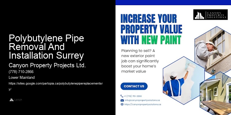 Detailed Polybutylene Plumbing Inspections Polybutylene Pipe Removal And Installation Surrey