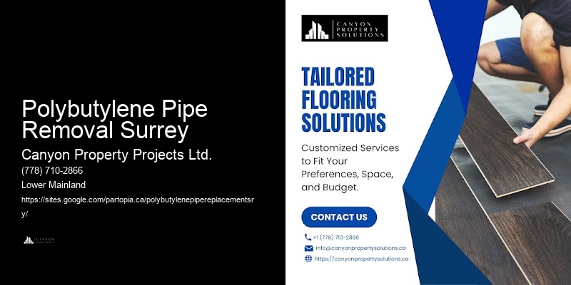 Affordable Polybutylene Plumbing Services Polybutylene Pipe Removal Surrey