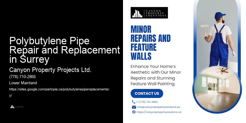 Polybutylene Pipe Repair and Replacement in Surrey Polybutylene Pipe Upgrade Services