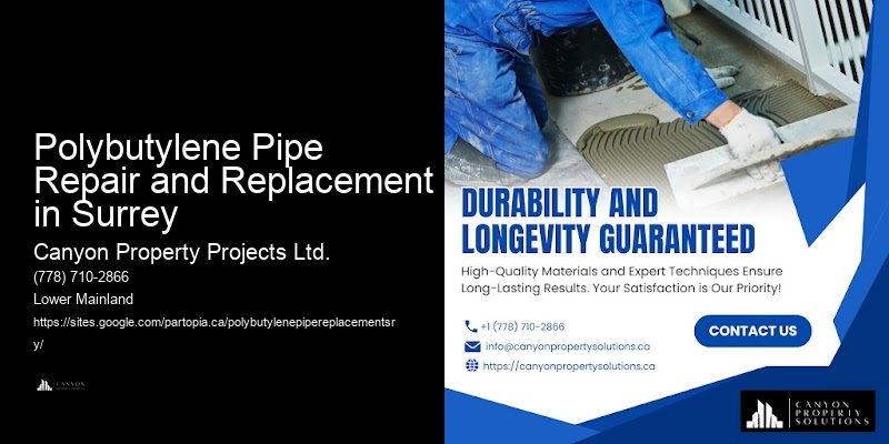 Affordable Polybutylene Plumbing Replacement Polybutylene Pipe Repair and Replacement in Surrey