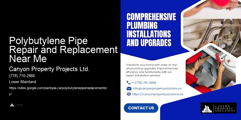 Certified Polybutylene Pipe Repair and Replacement Near Me Polybutylene Replacement Experts