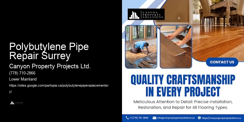 Polybutylene Plumbing Consultations Polybutylene Pipe Repair Surrey