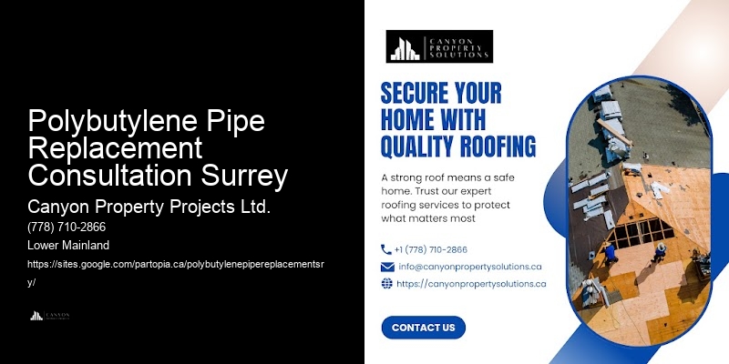 Polybutylene Pipe Issue Detection Polybutylene Pipe Replacement Consultation Surrey