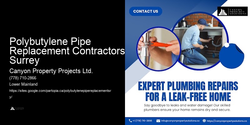 Polybutylene Pipe Replacement Techniques Polybutylene Pipe Replacement Contractors Surrey