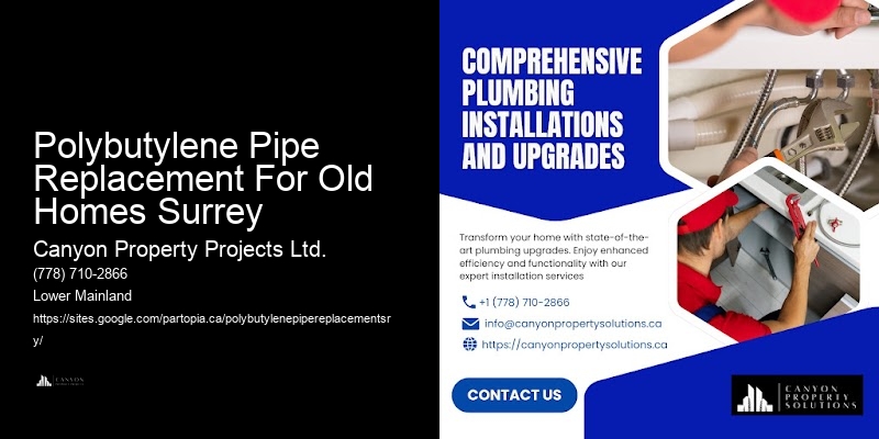 Polybutylene Pipe Replacement For Old Homes Surrey Polybutylene Pipe System Upgrades