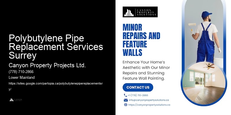Affordable Polybutylene Pipe Services Polybutylene Pipe Replacement Services Surrey