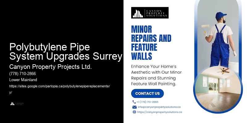 Residential Polybutylene Replacement Services Polybutylene Pipe System Upgrades Surrey
