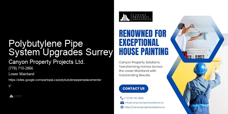 Polybutylene Pipe Replacement and Repair Polybutylene Pipe System Upgrades Surrey