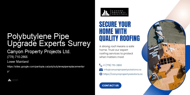 Emergency Polybutylene Pipe Replacement Solutions in Polybutylene Pipe Upgrade Experts Surrey