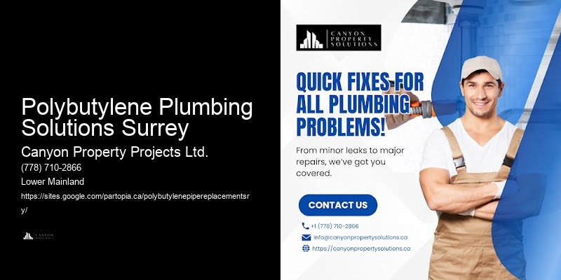 Polybutylene Plumbing Solutions Surrey
