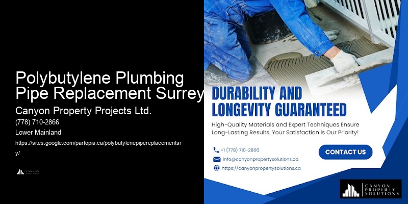 Polybutylene Pipe Service Comparisons Polybutylene Plumbing Pipe Replacement Surrey
