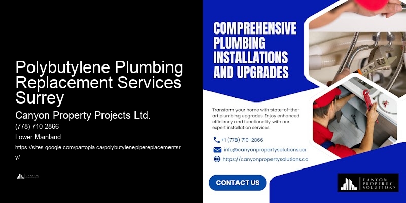 Polybutylene Pipe Replacement Guide Polybutylene Plumbing Replacement Services Surrey