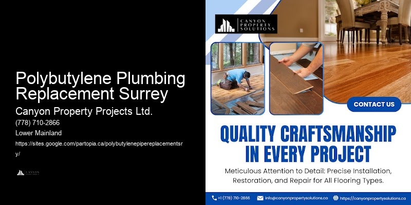 Best Polybutylene Plumbing Replacement Near Me Polybutylene Plumbing Replacement Surrey