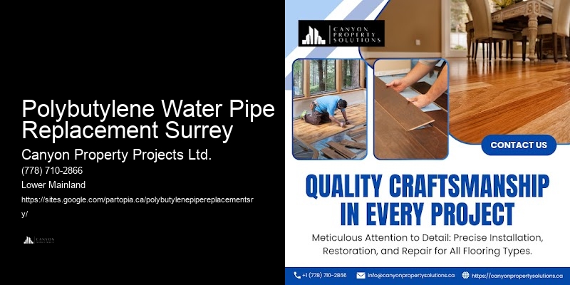 Modern Solutions for Polybutylene Plumbing Polybutylene Water Pipe Replacement Surrey