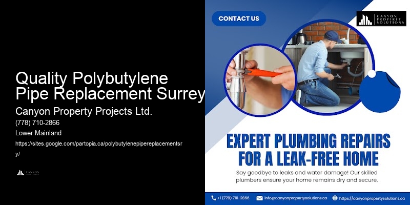 Polybutylene Pipe System Evaluation Quality Polybutylene Pipe Replacement Surrey