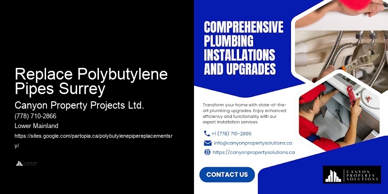 Professional Polybutylene Pipe Replacement for Residential Properties