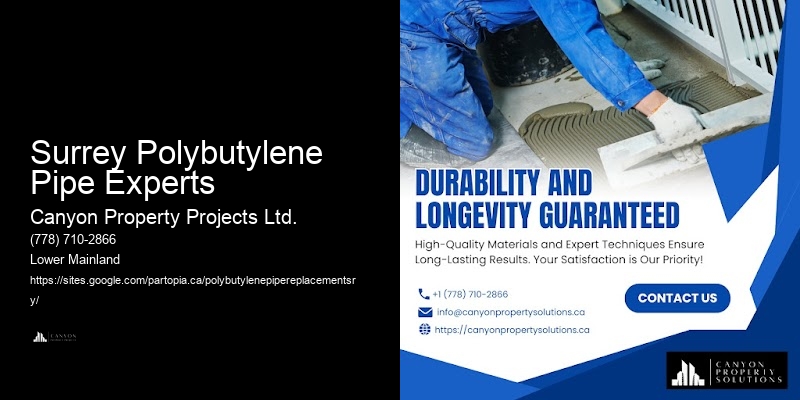 Residential Polybutylene Replacement Services Surrey Polybutylene Pipe Experts