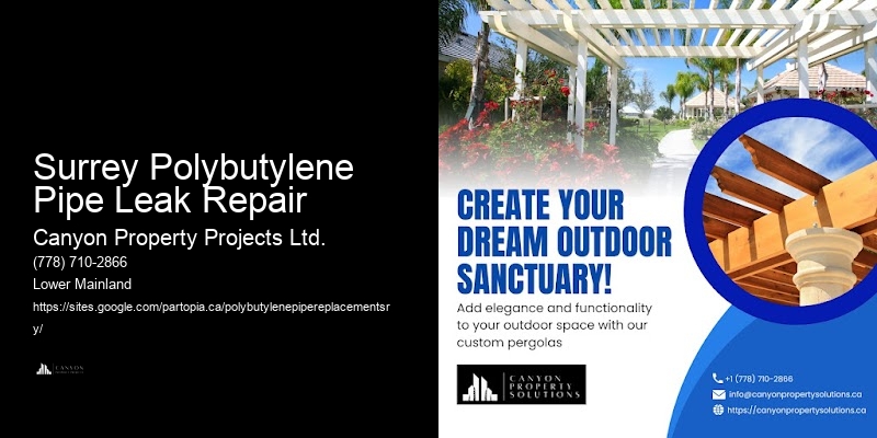 Polybutylene Pipe Issue Detection Surrey Polybutylene Pipe Leak Repair