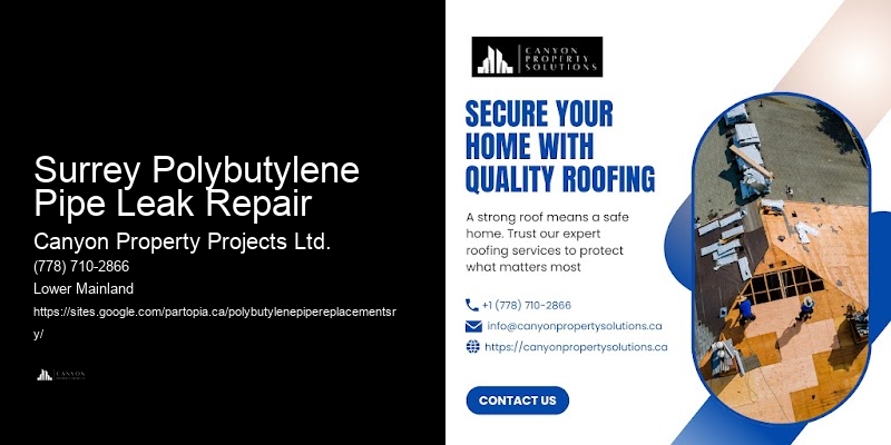 Trusted Polybutylene Pipe Replacement Company Surrey Polybutylene Pipe Leak Repair