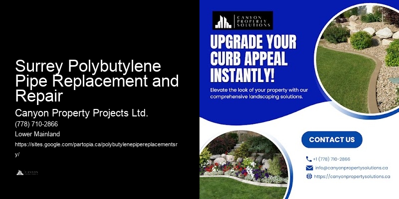 Polybutylene Pipe Repair and Replacement Near Me