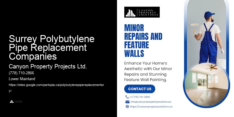 Licensed Polybutylene Plumbing Services Surrey Polybutylene Pipe Replacement Companies