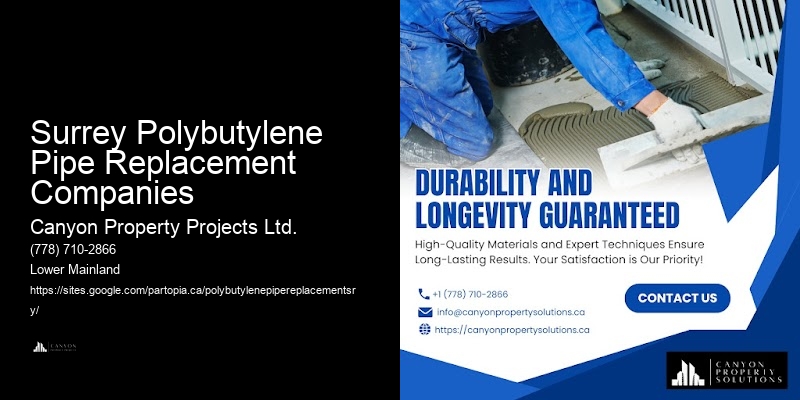 Polybutylene Pipe Inspections Surrey Polybutylene Pipe Replacement Companies